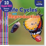 Upper Key Stage 2 Science
